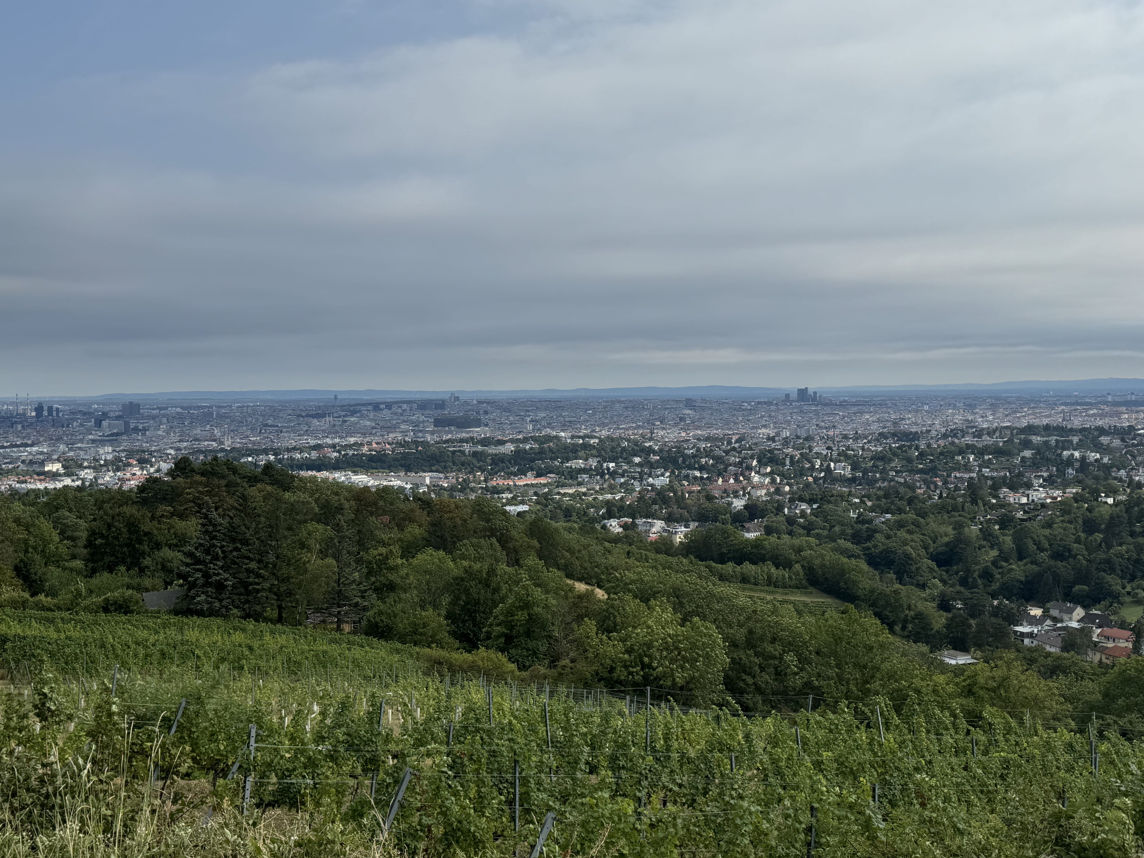 Vue sur Vienne